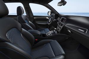 Audi SQ5 TDI Plus 2015 года  (WW)